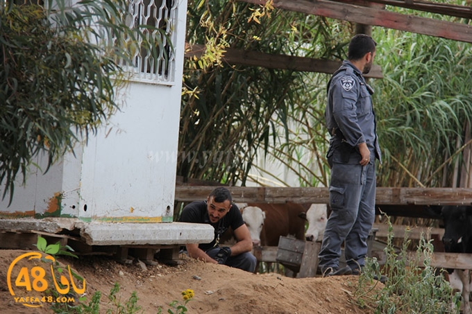 police taftesha dakka (10).JPG